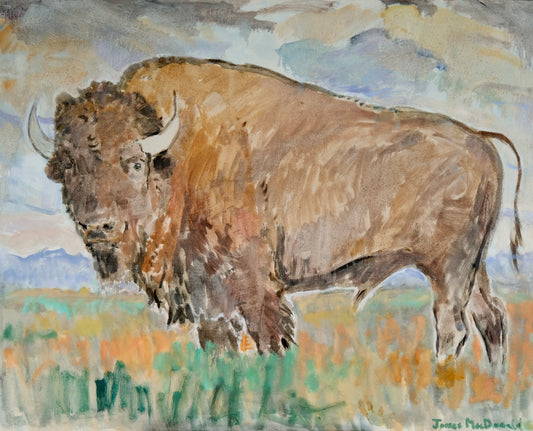 Alberta Bison