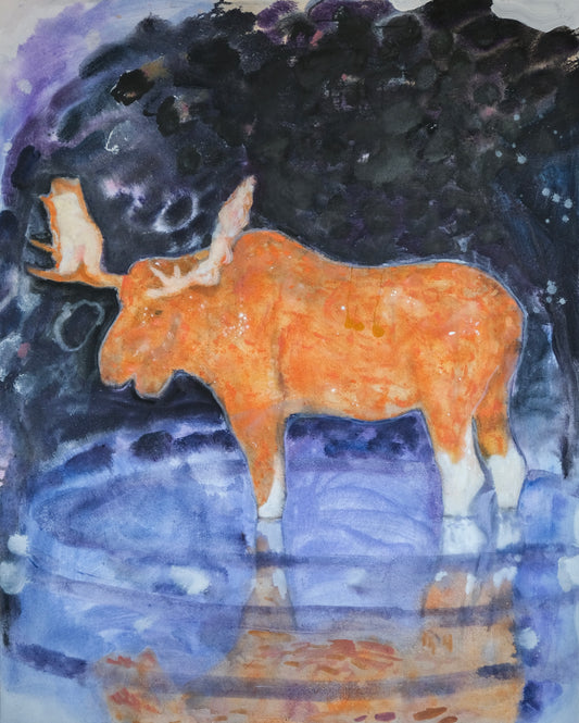 Orange Moose